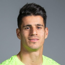 Payam Niazmand portrait