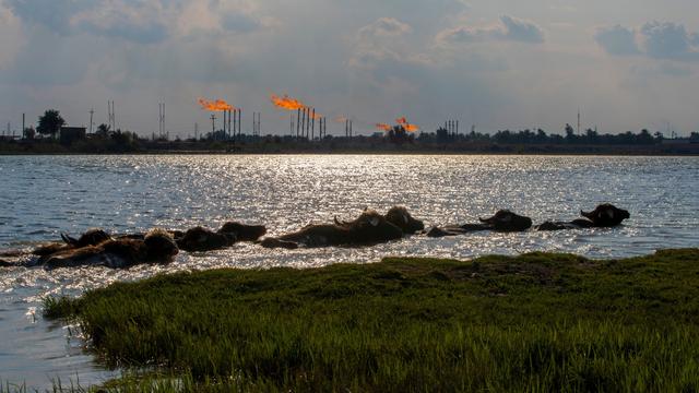 صادرات نفت عراق از طریق خط لوله به منطقه کردستان از سر گرفته شد